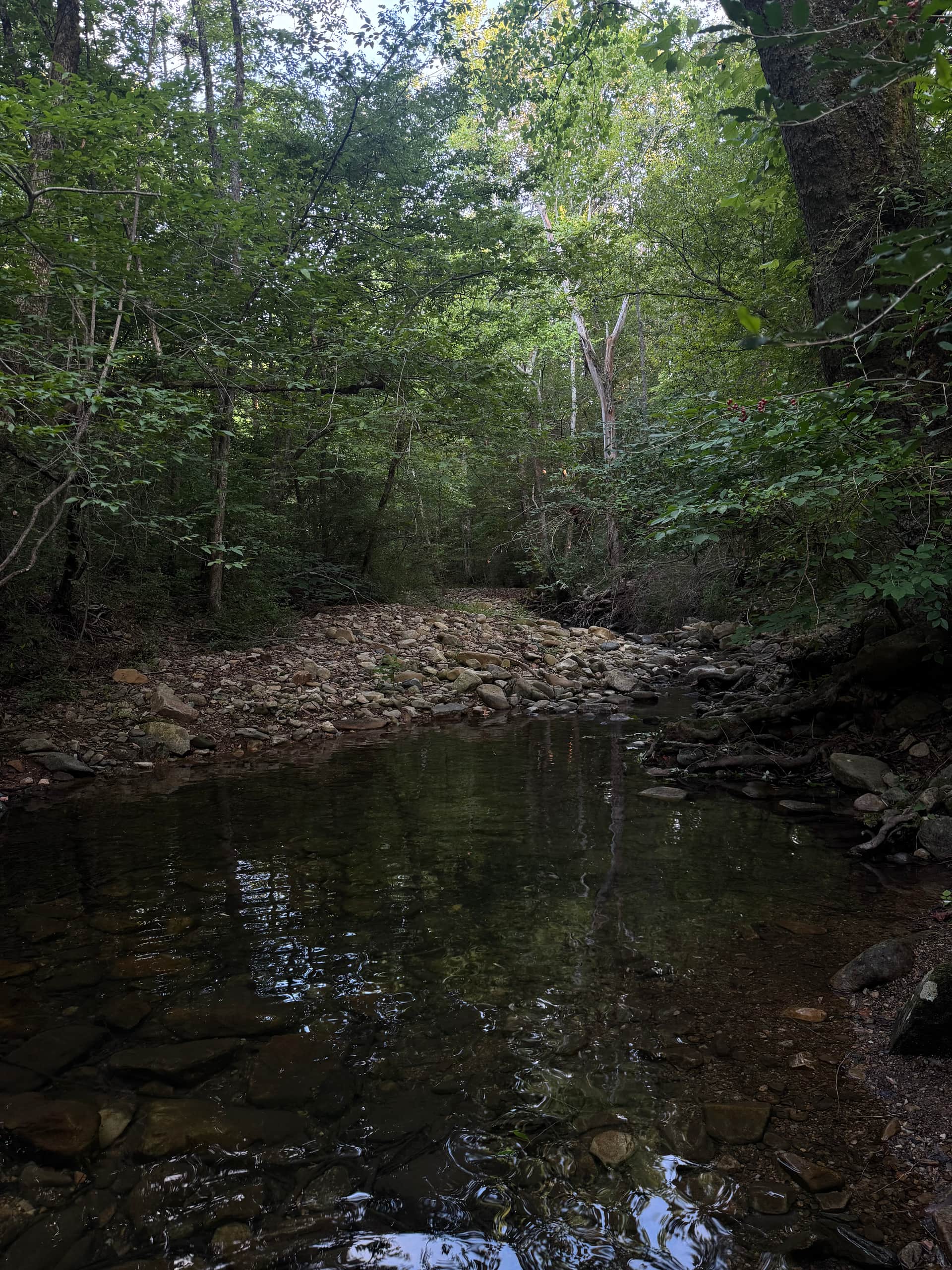 Thunder BRidge