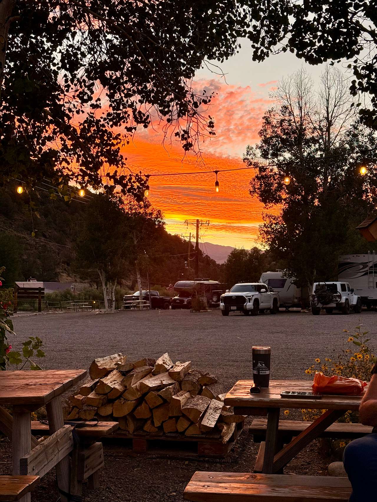 Willow Springs Resort