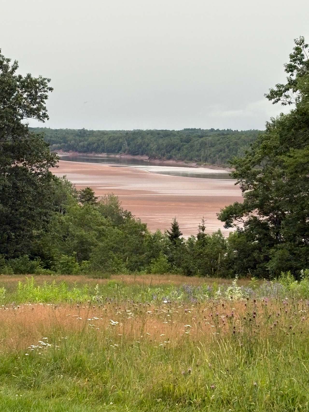 View from the campsite. 
