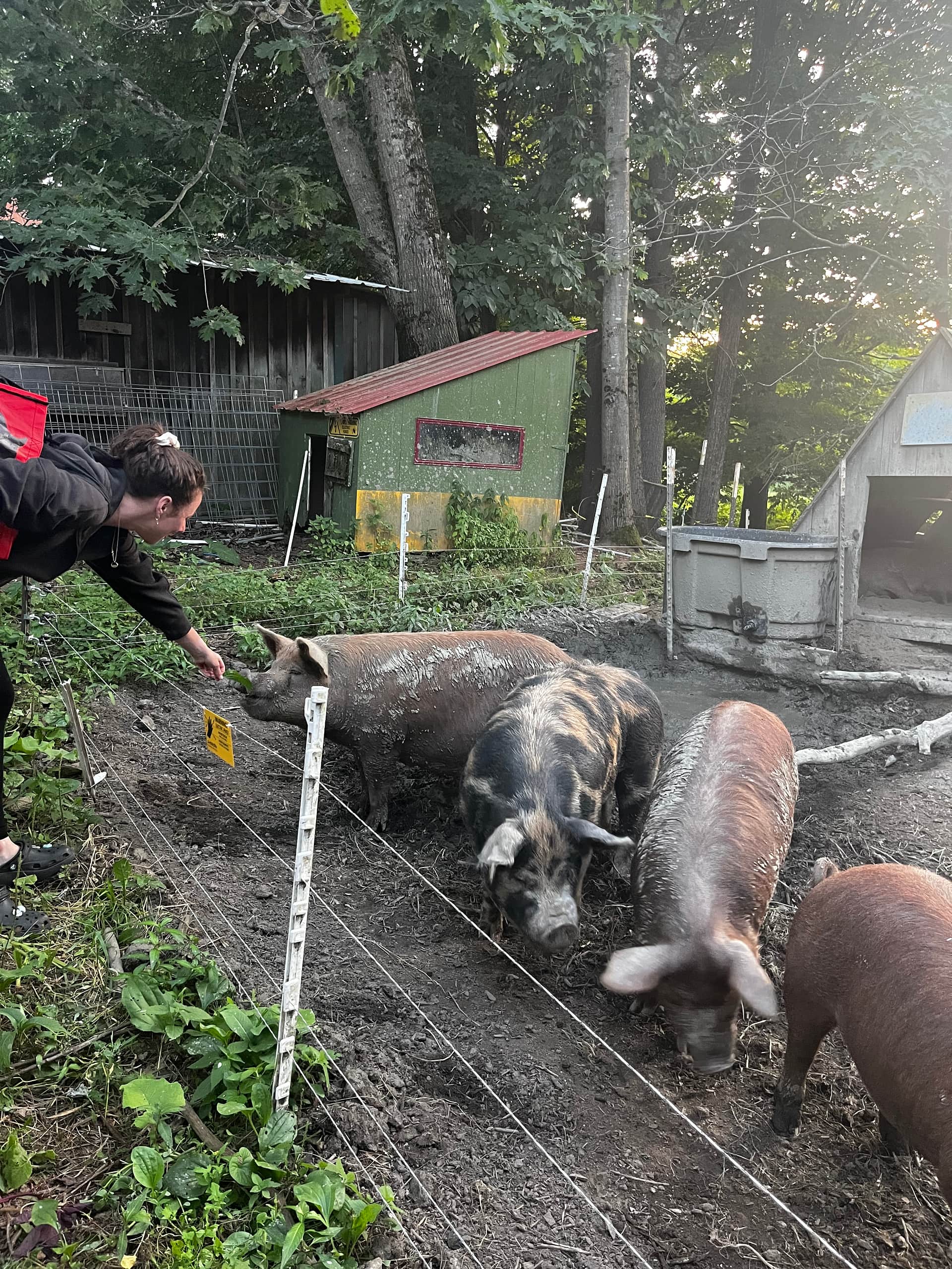 Tir na nOg Farm