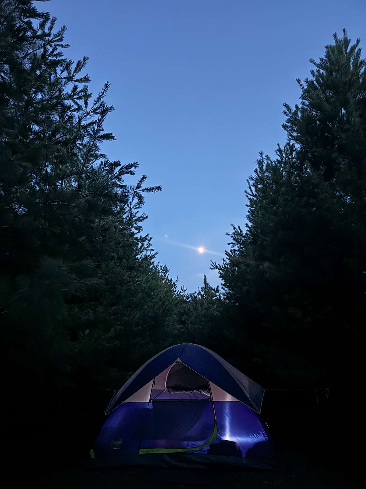 CAMP Door County