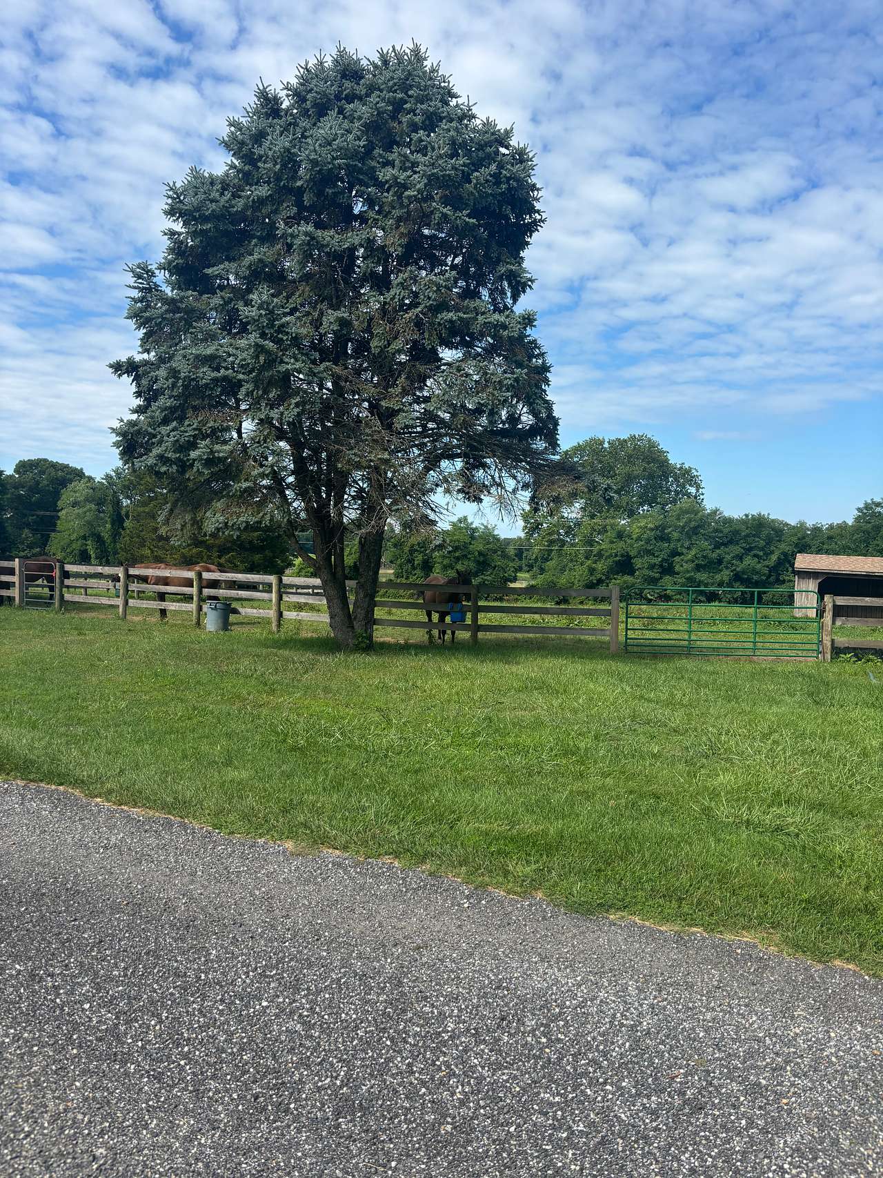 FairHill Horse Farm