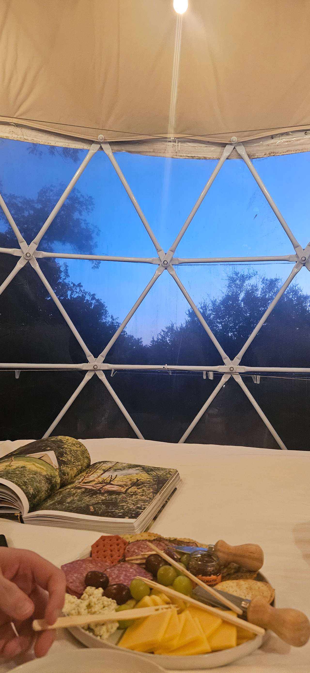 Bed view! 