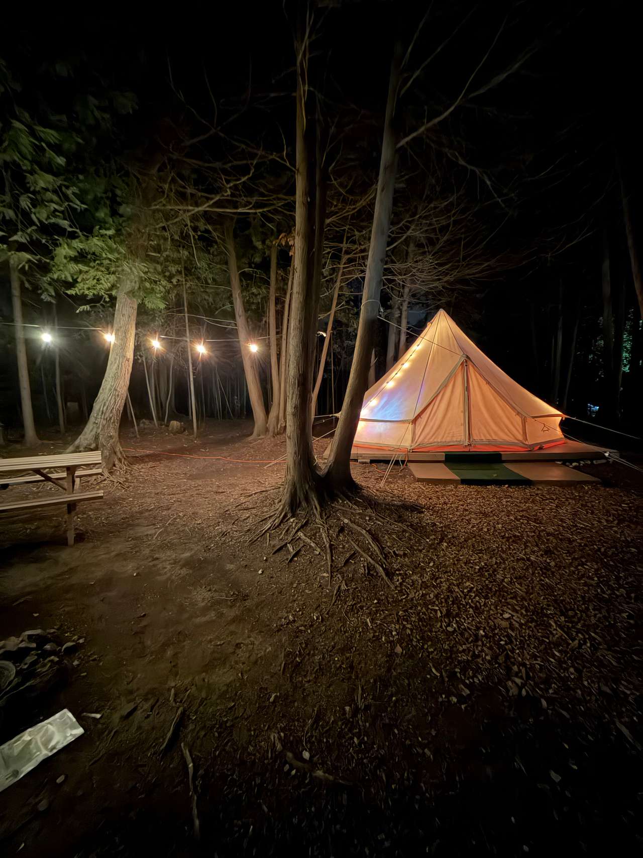 Tiki Hut Yurts