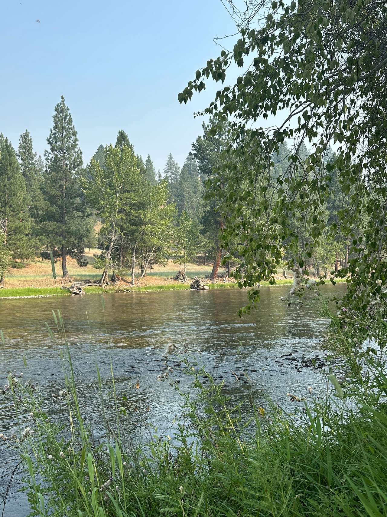 South Valley RV Site - Riverfront