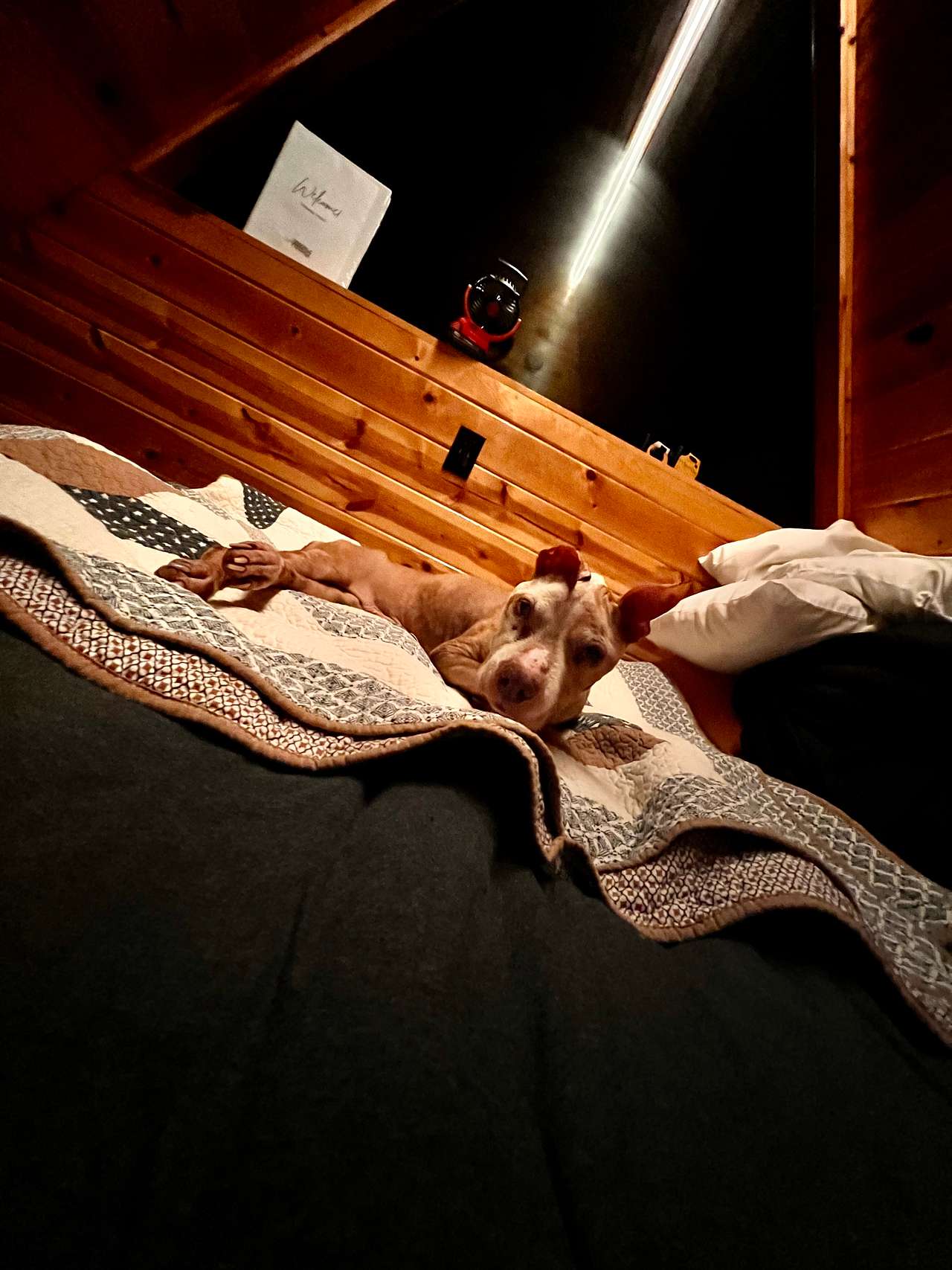 A cozy bed to recharge for another day of memories 🖤