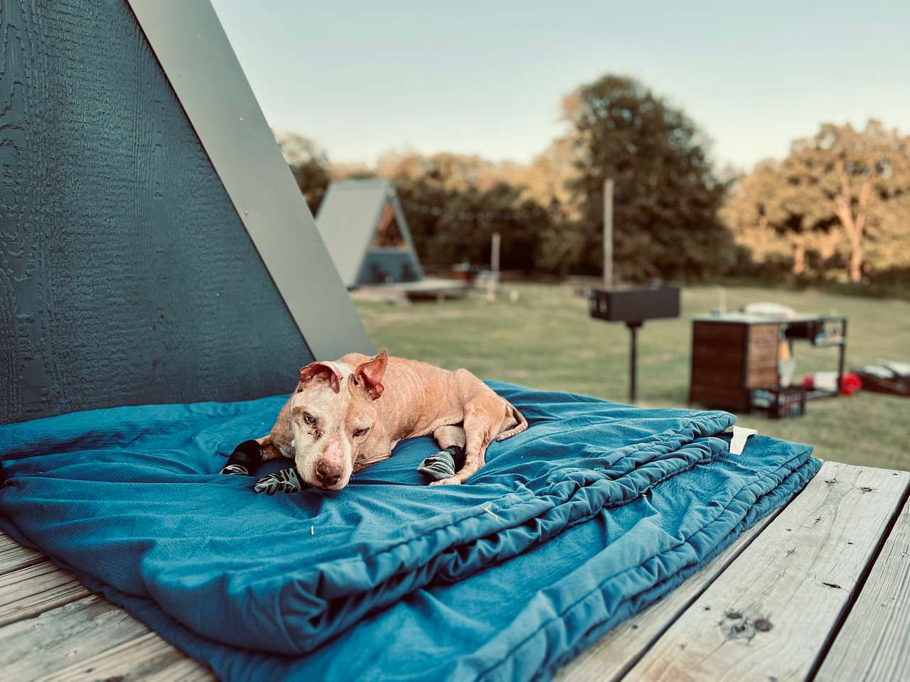 Taking in the view from the back patio 💙