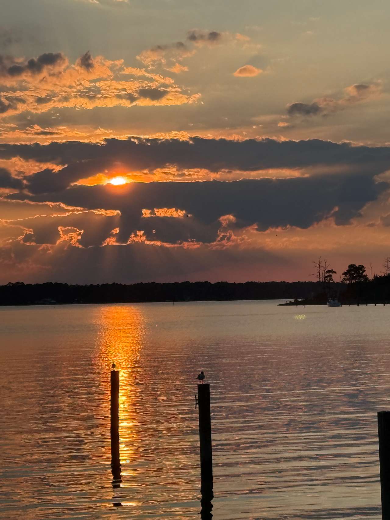 160 Acres  1700's waterfront forest