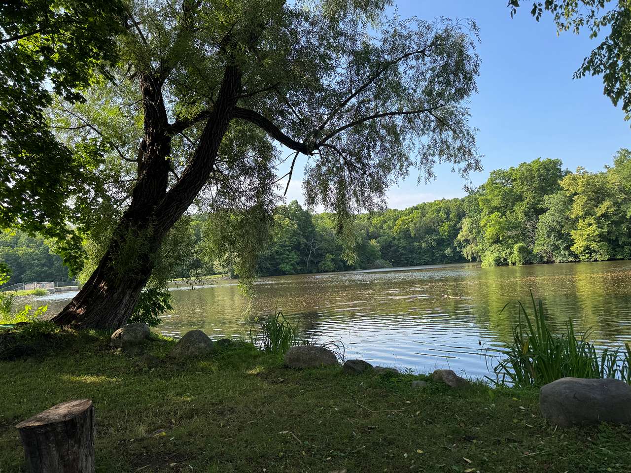 Pondfront RV Site near Road America
