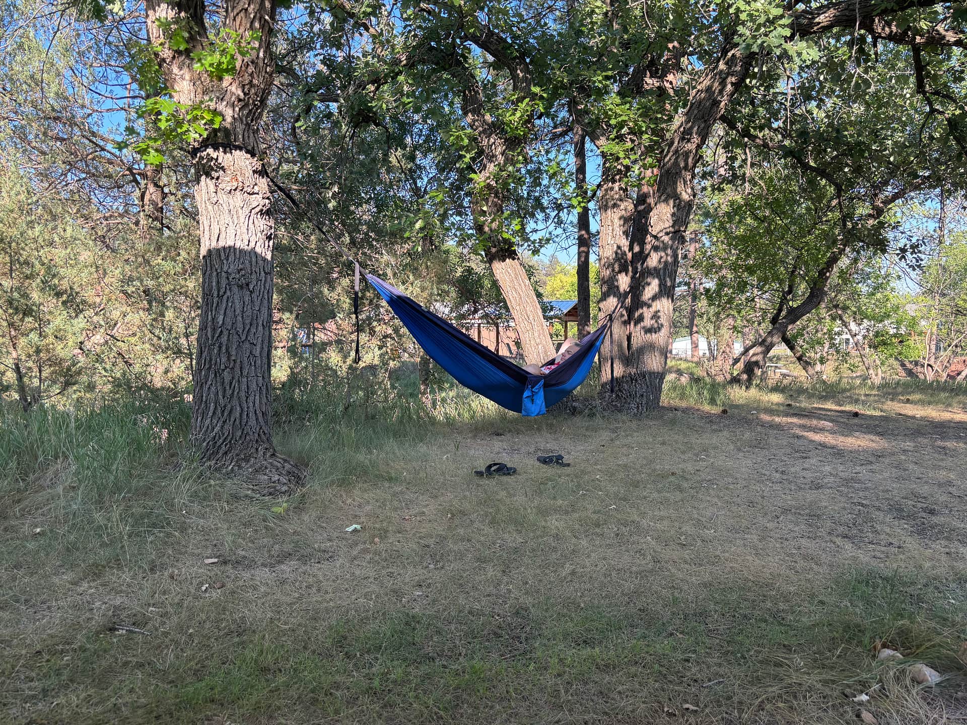Hammocks