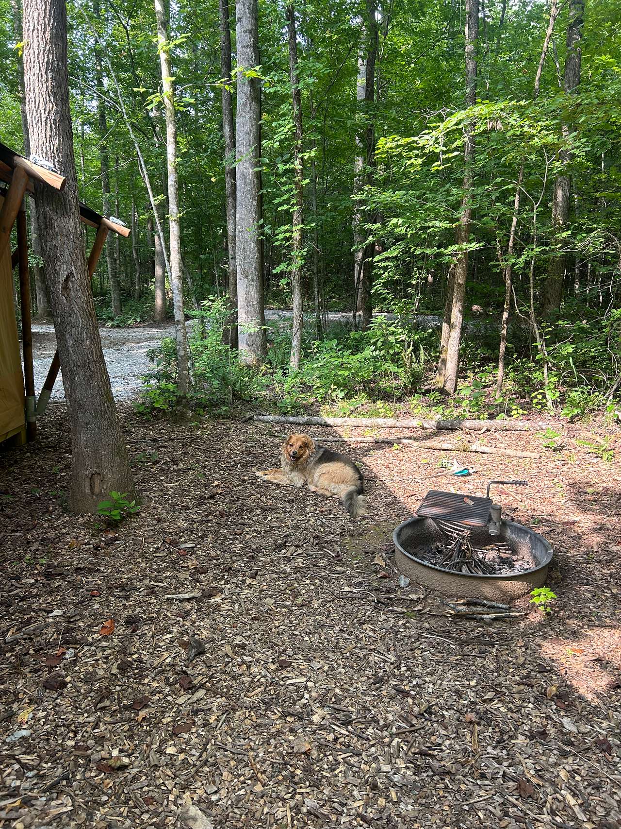 TangleWood Creekside Campsites