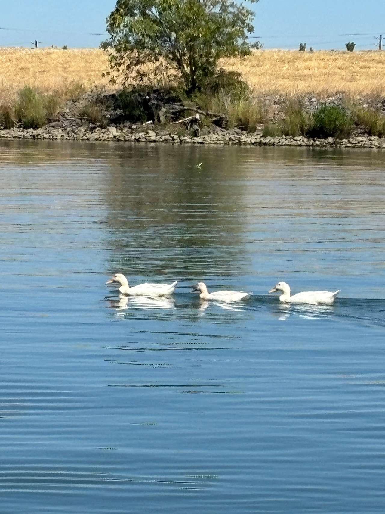 Unhitched Snug Harbor RV Park & Marina