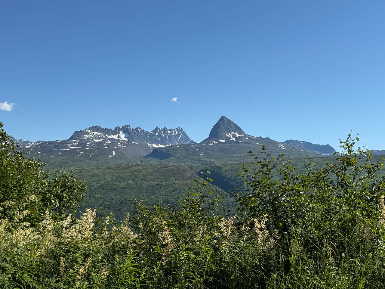 View while sitting at the picnic table. 