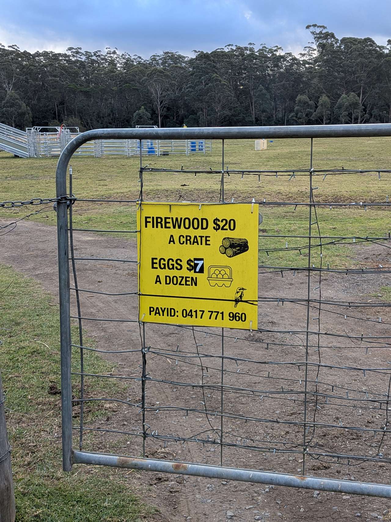 Kookaburra – Peaceful Bush Escape