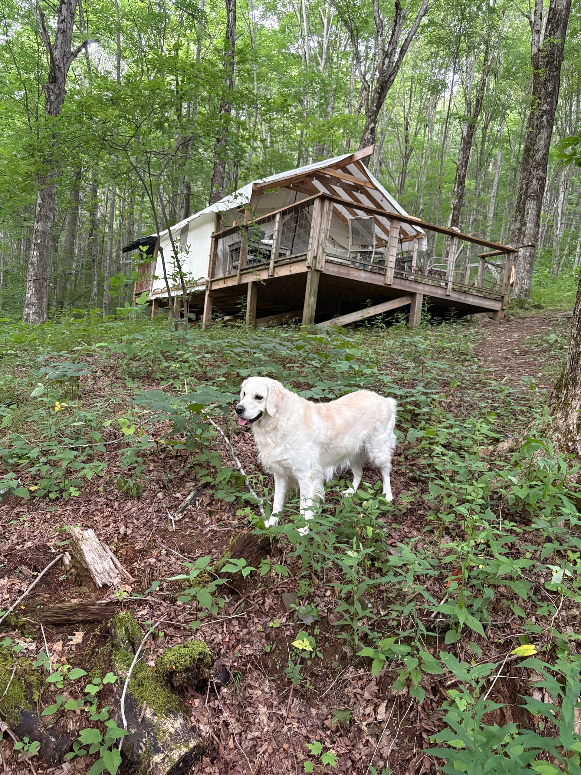 Longhope Mountain Glamping
