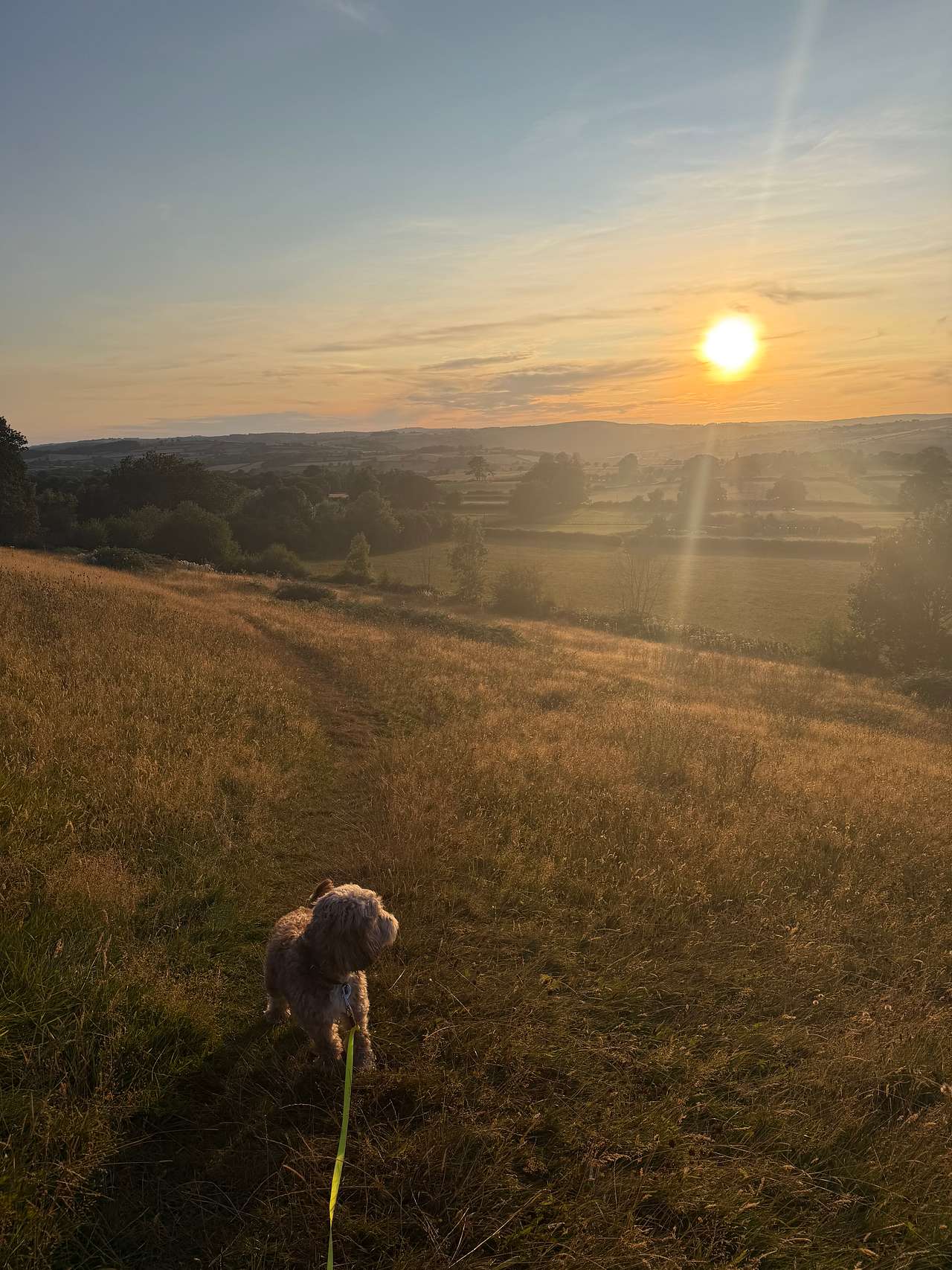 Newcourt Farm Campsite