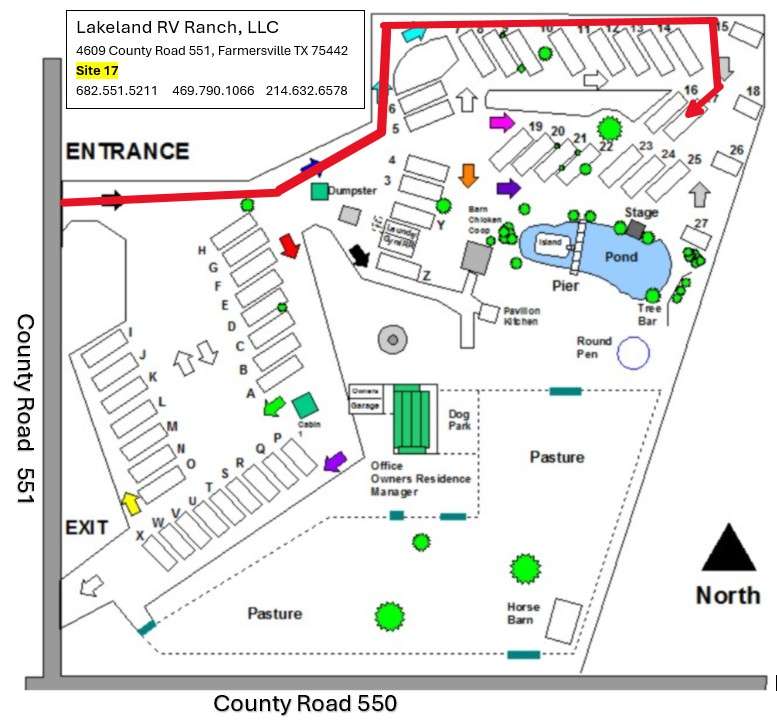 Picture of the site