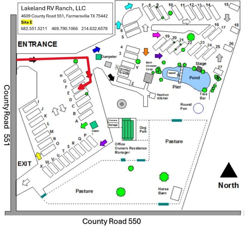 Picture of the site