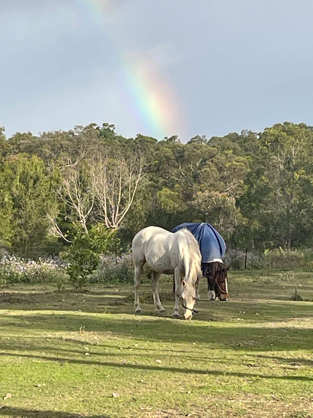 🌈🦄