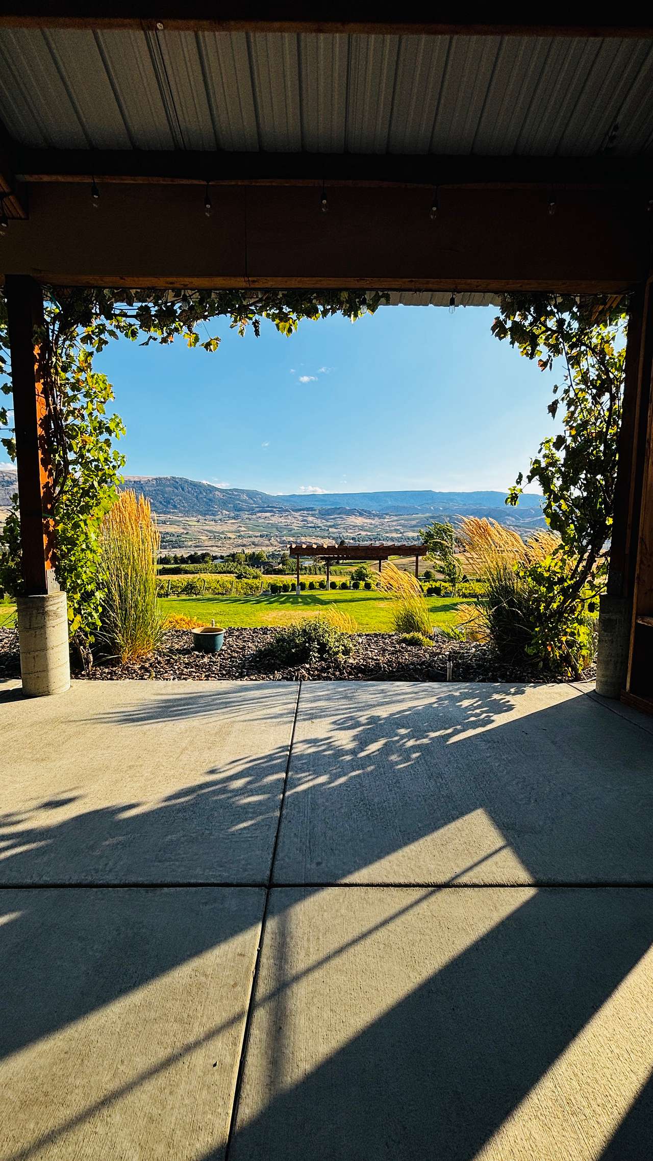 Bianchi Vineyards RV Site