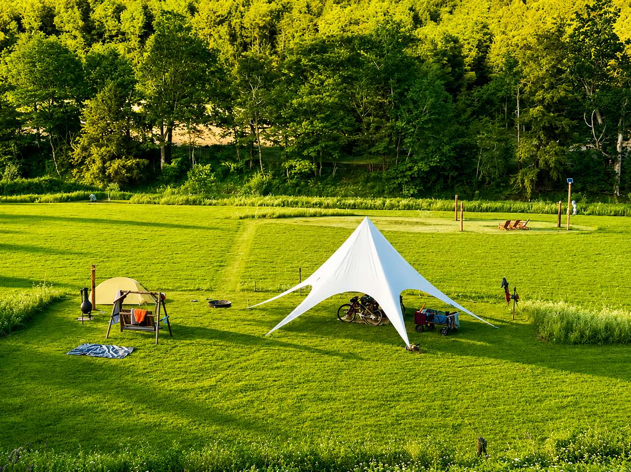 Picture of the site