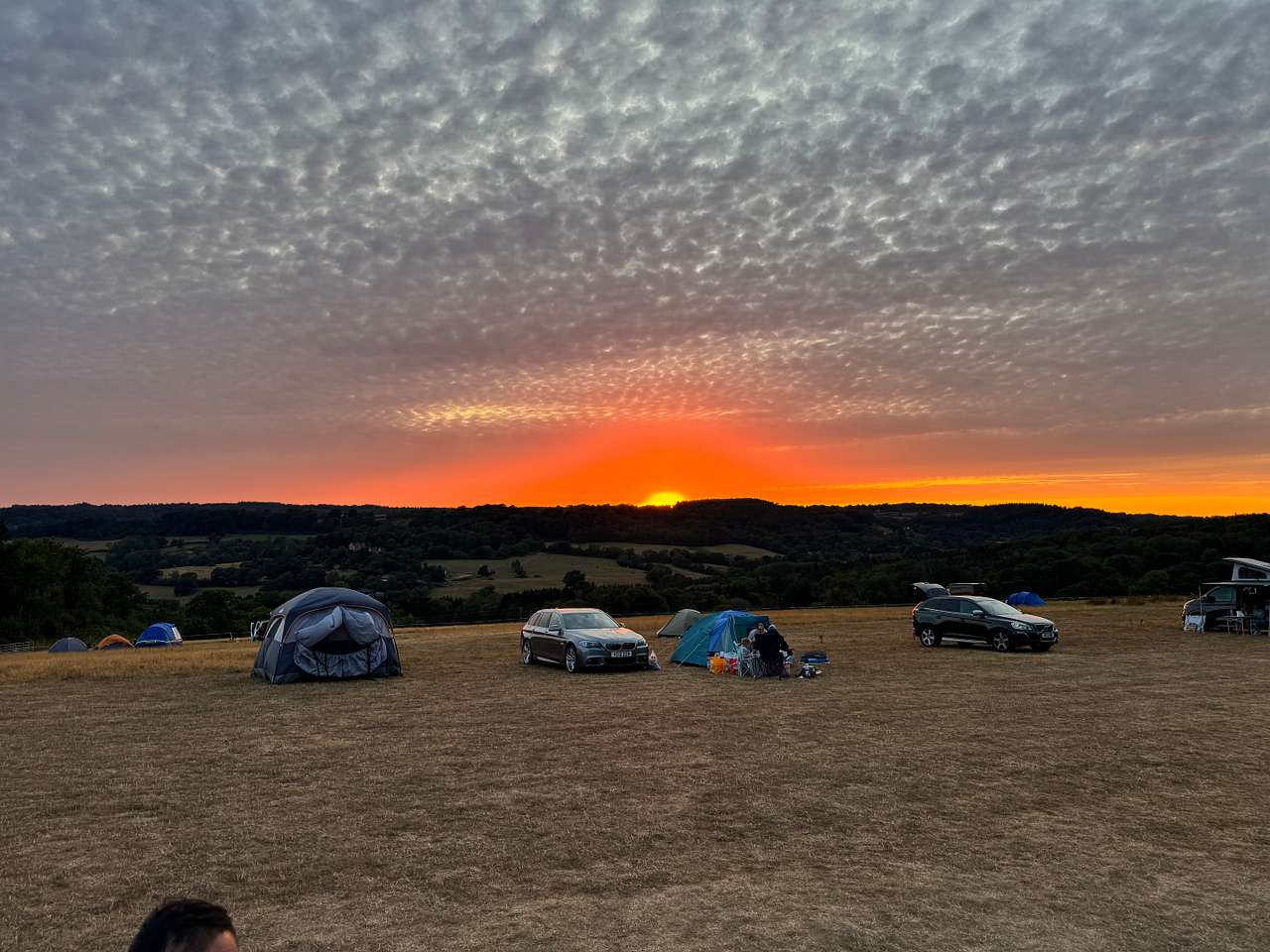 Berries Farm Camping