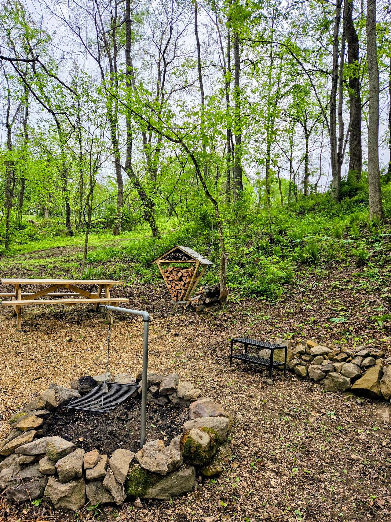 Picture of the site