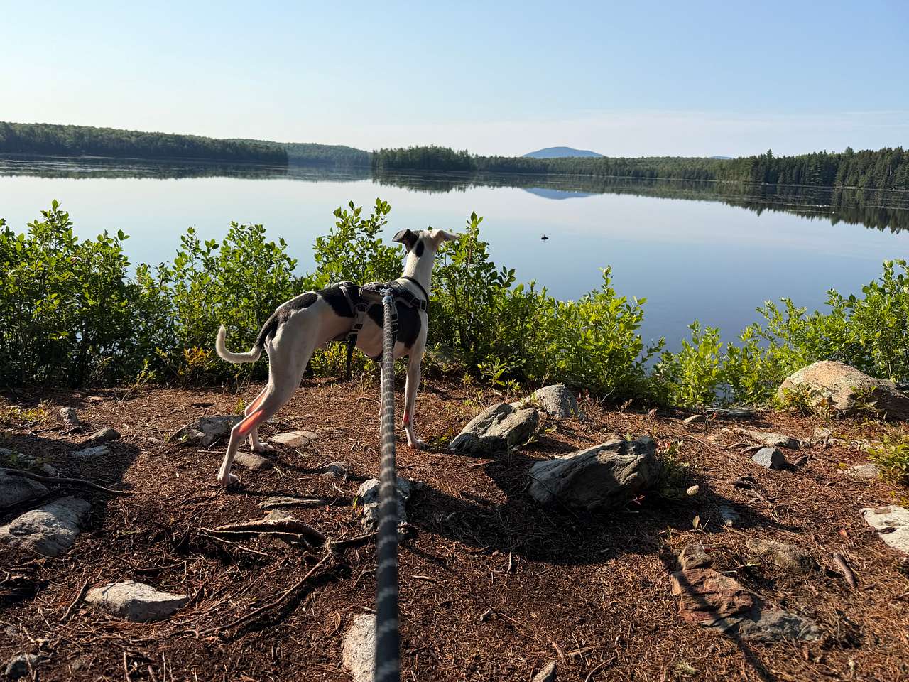 Evergreen Conservation Area