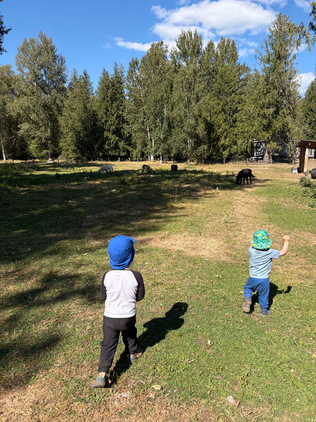 Olich Creek Farm