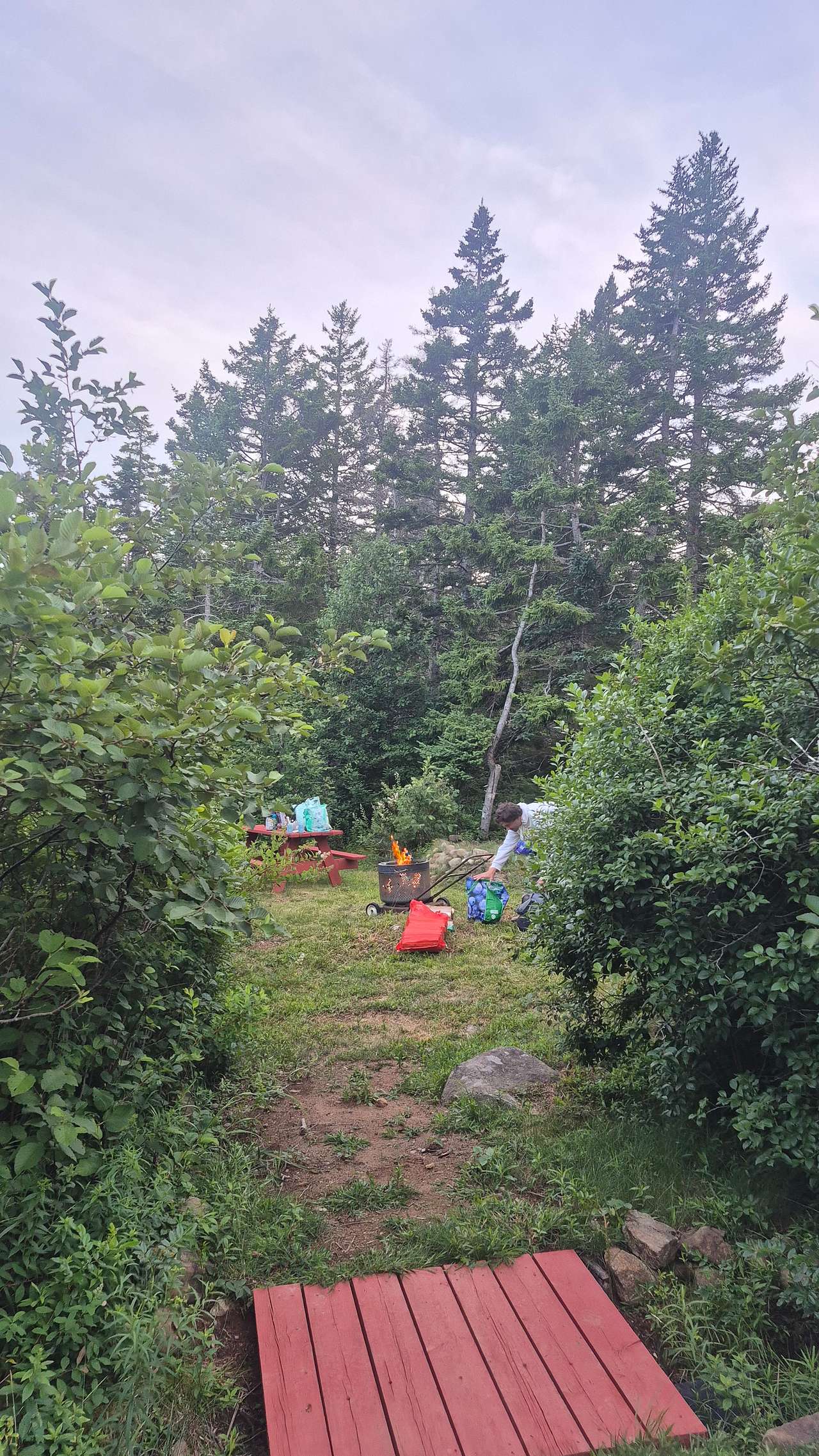 Picture of the site