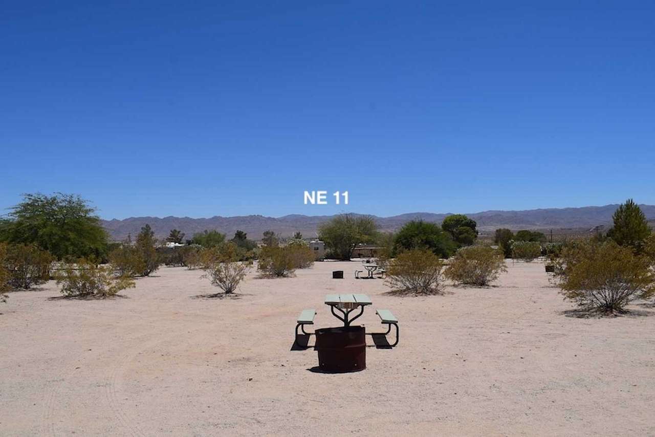 Picture of the site