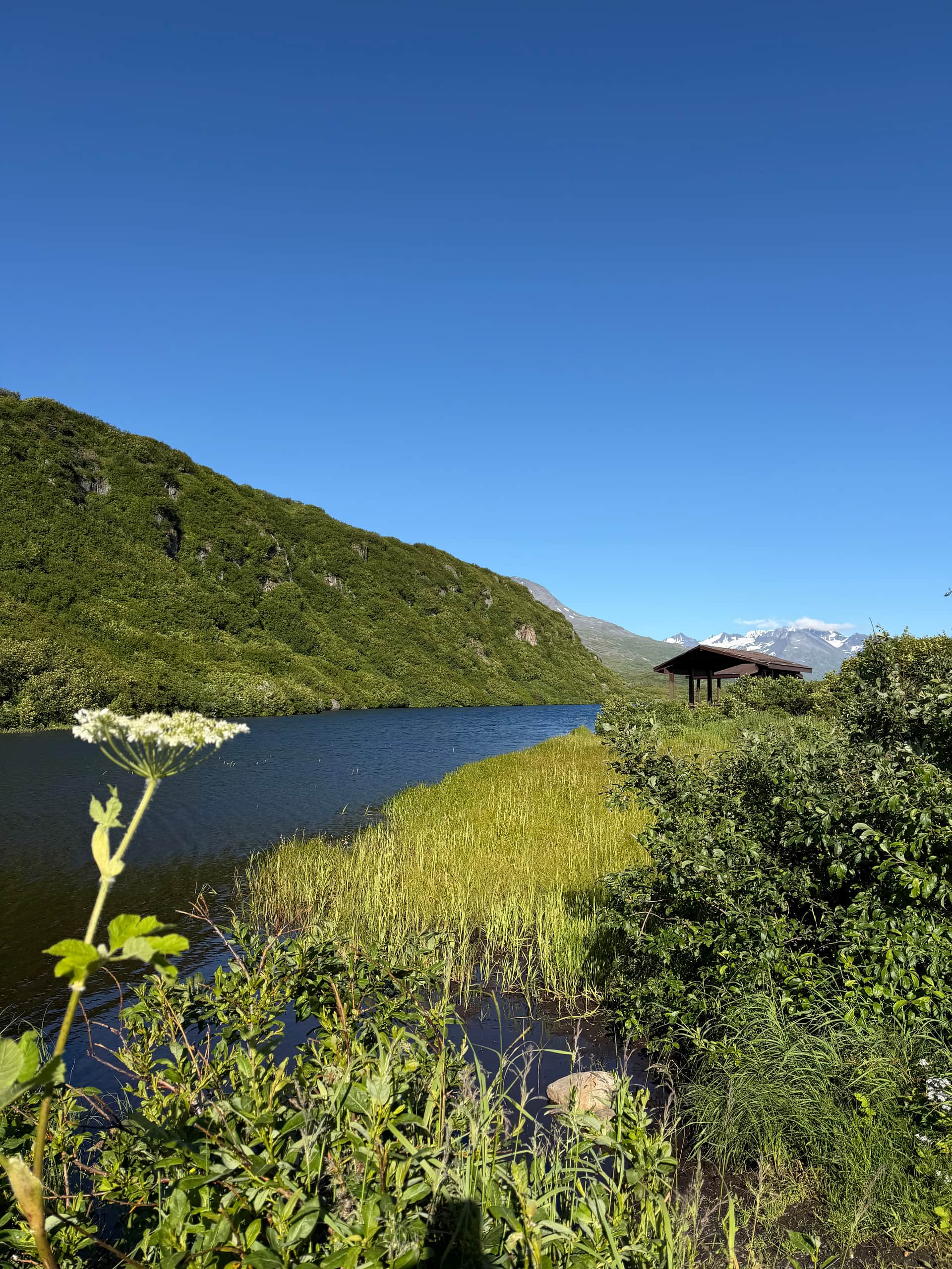 View from site 7
