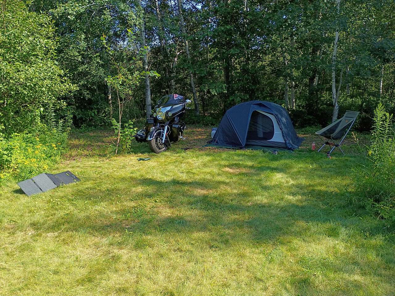 It's shaded all day long, you just can't beat it. Aimee saw this area and knew it would be perfect for a tent. She was right! Great site 