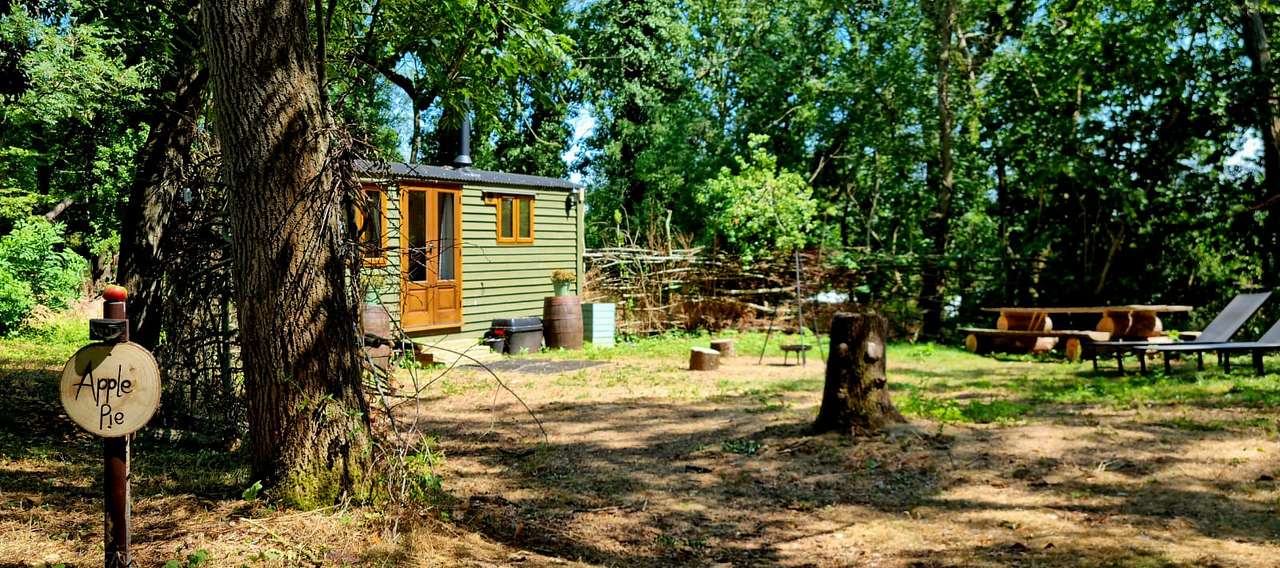 The Apple Farm