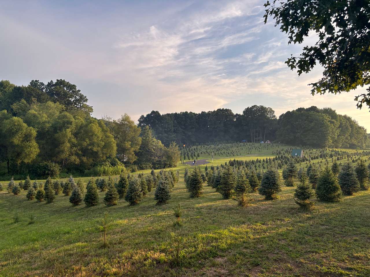 Camping at Heritage Farms