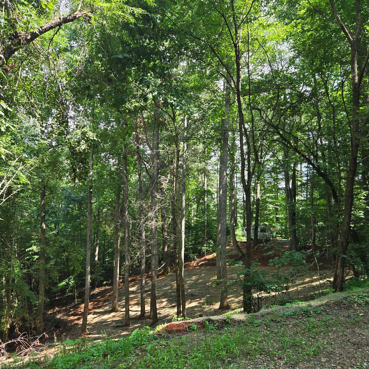 Cardinal Mountain Campground
