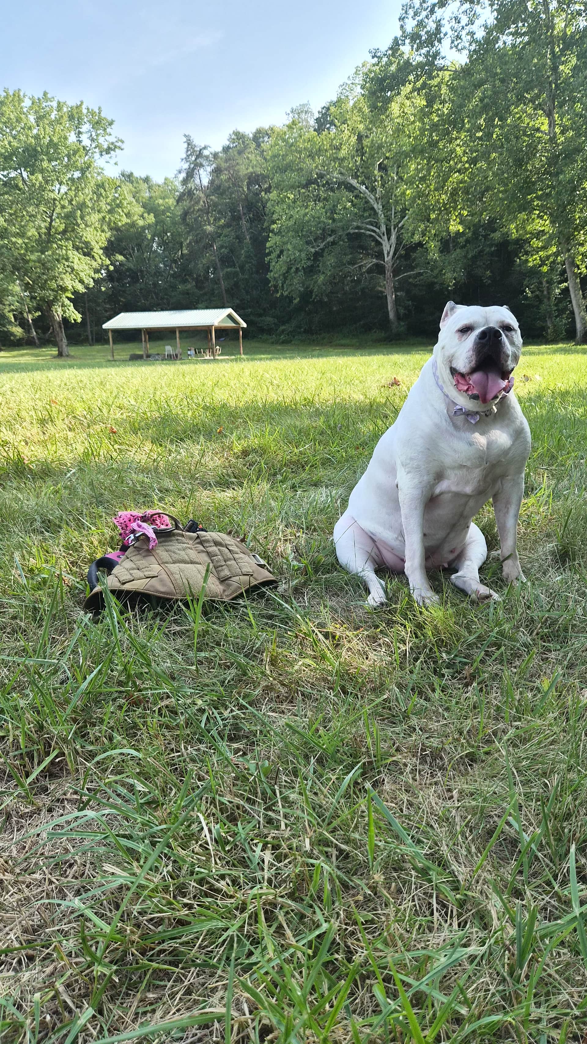 A 1000 Miles from Nowhere Cabin