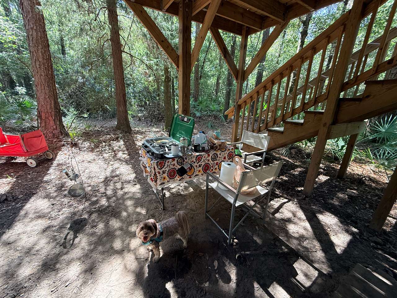 Picture of the site