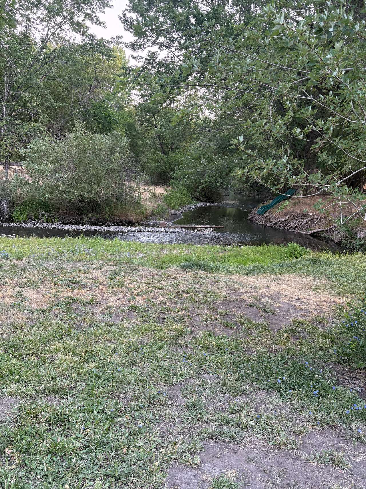 Creekside