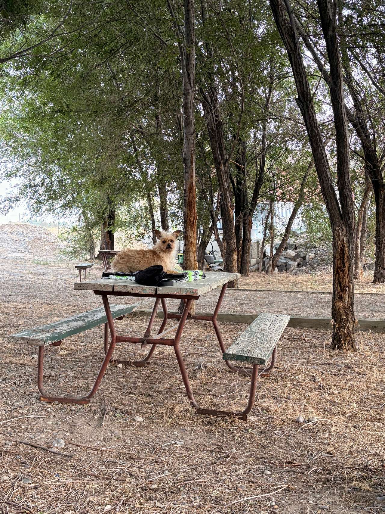 Yellowstone Lakeside RV Park