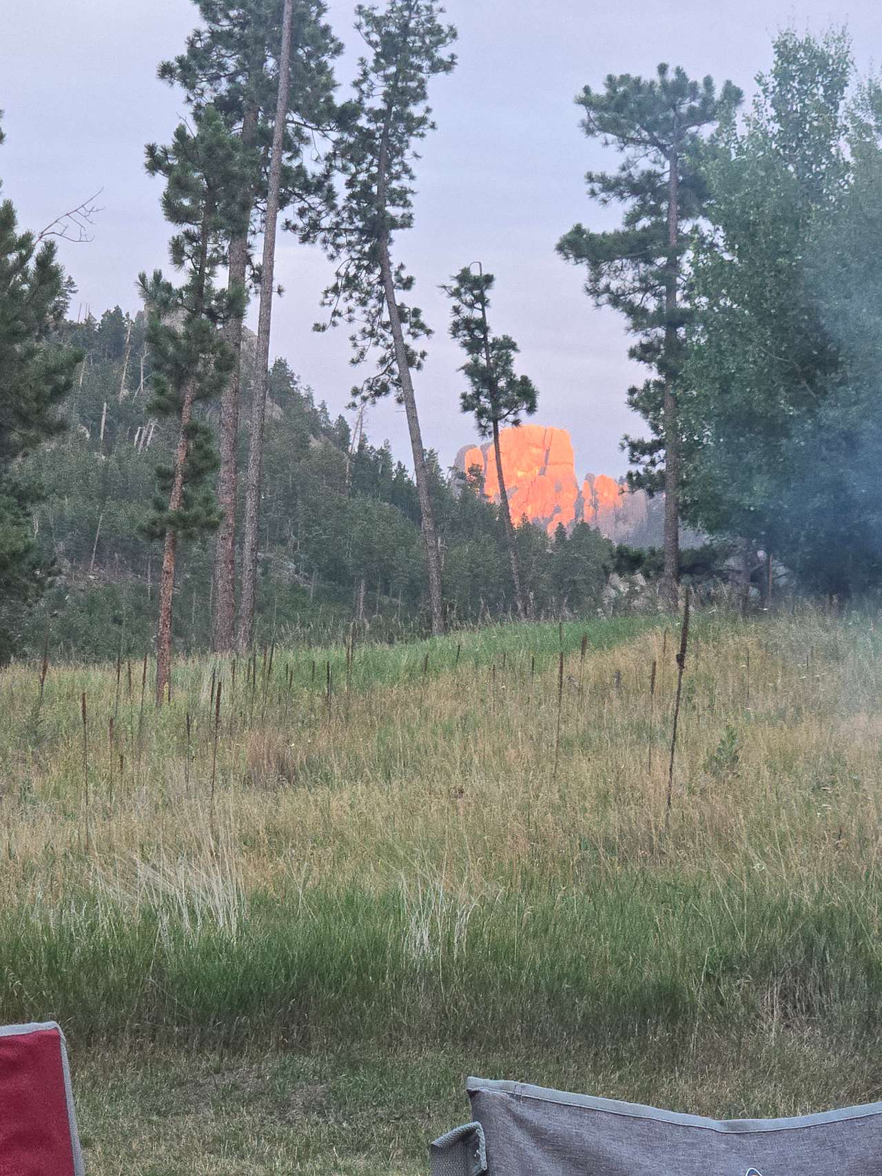 Picture of the site