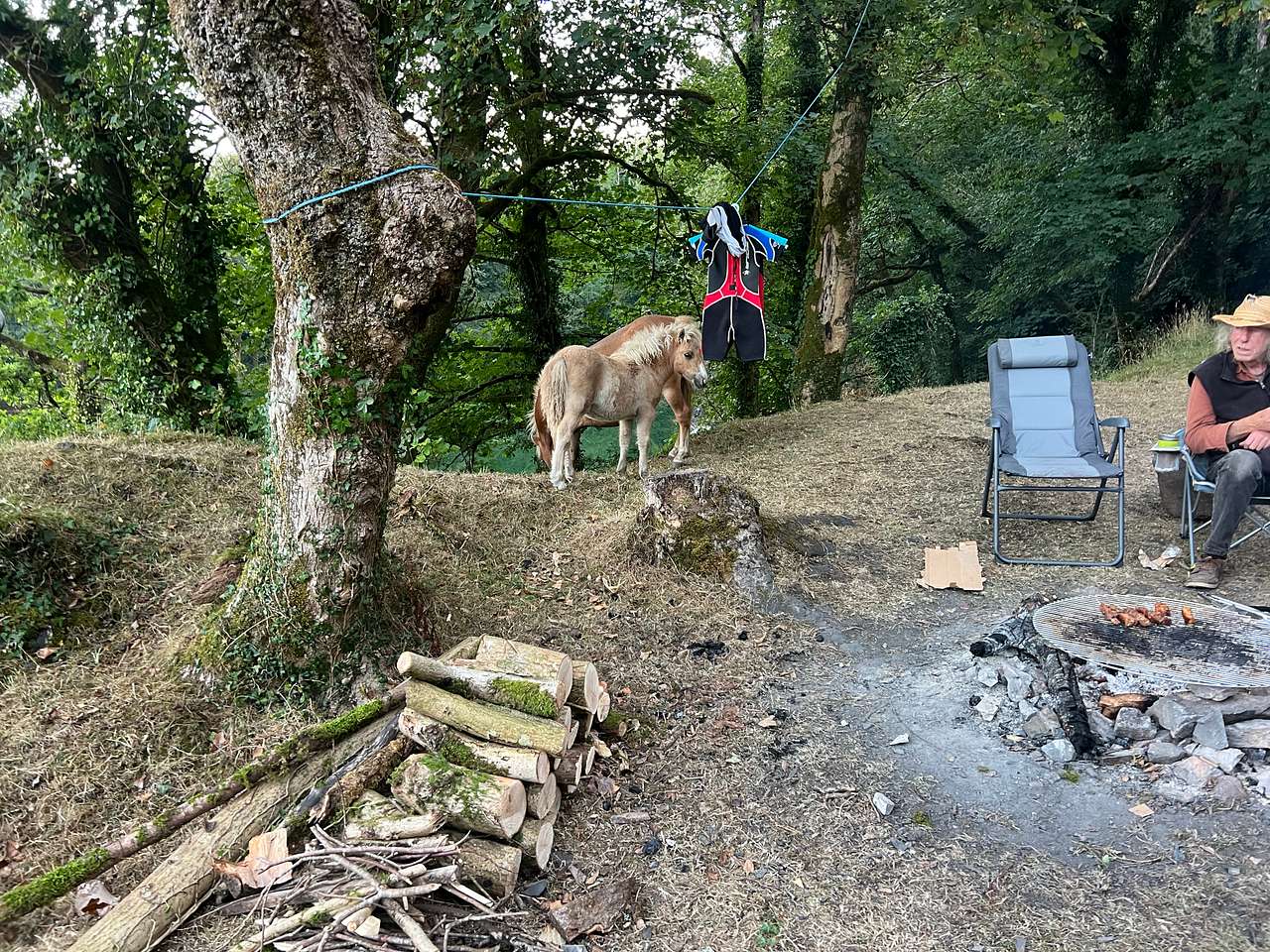 Meldon Lake and Woods Wild Camping