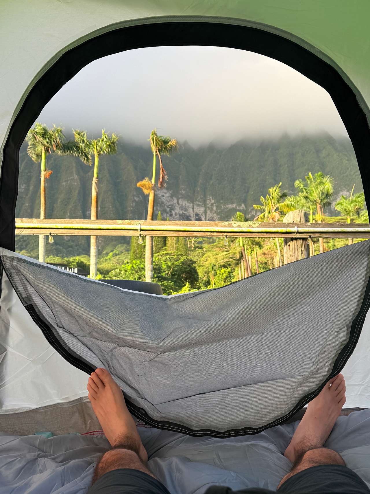 Morning view 