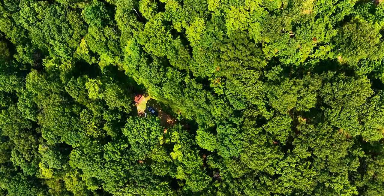 Cabin from the air