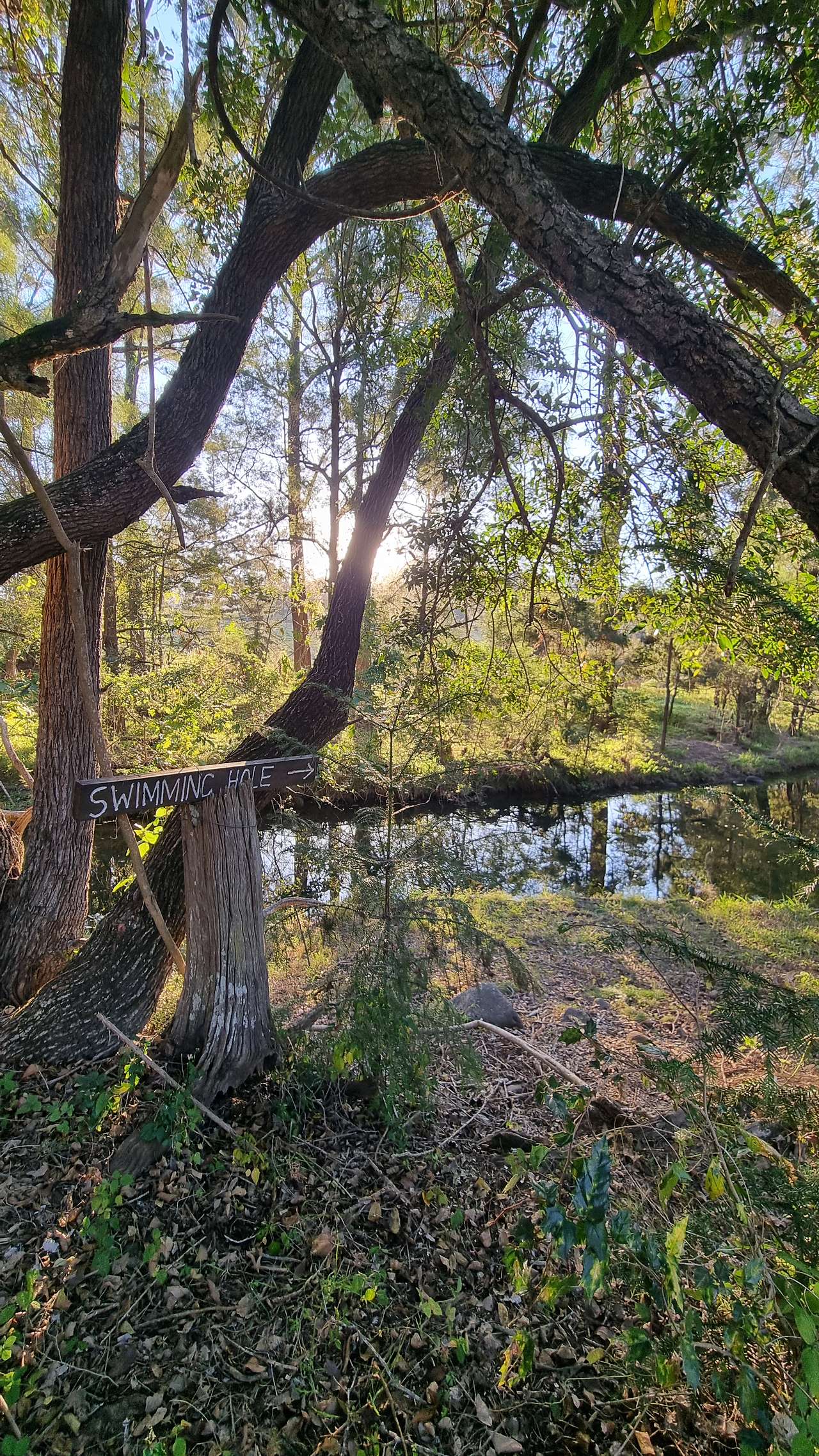 Picture of the site