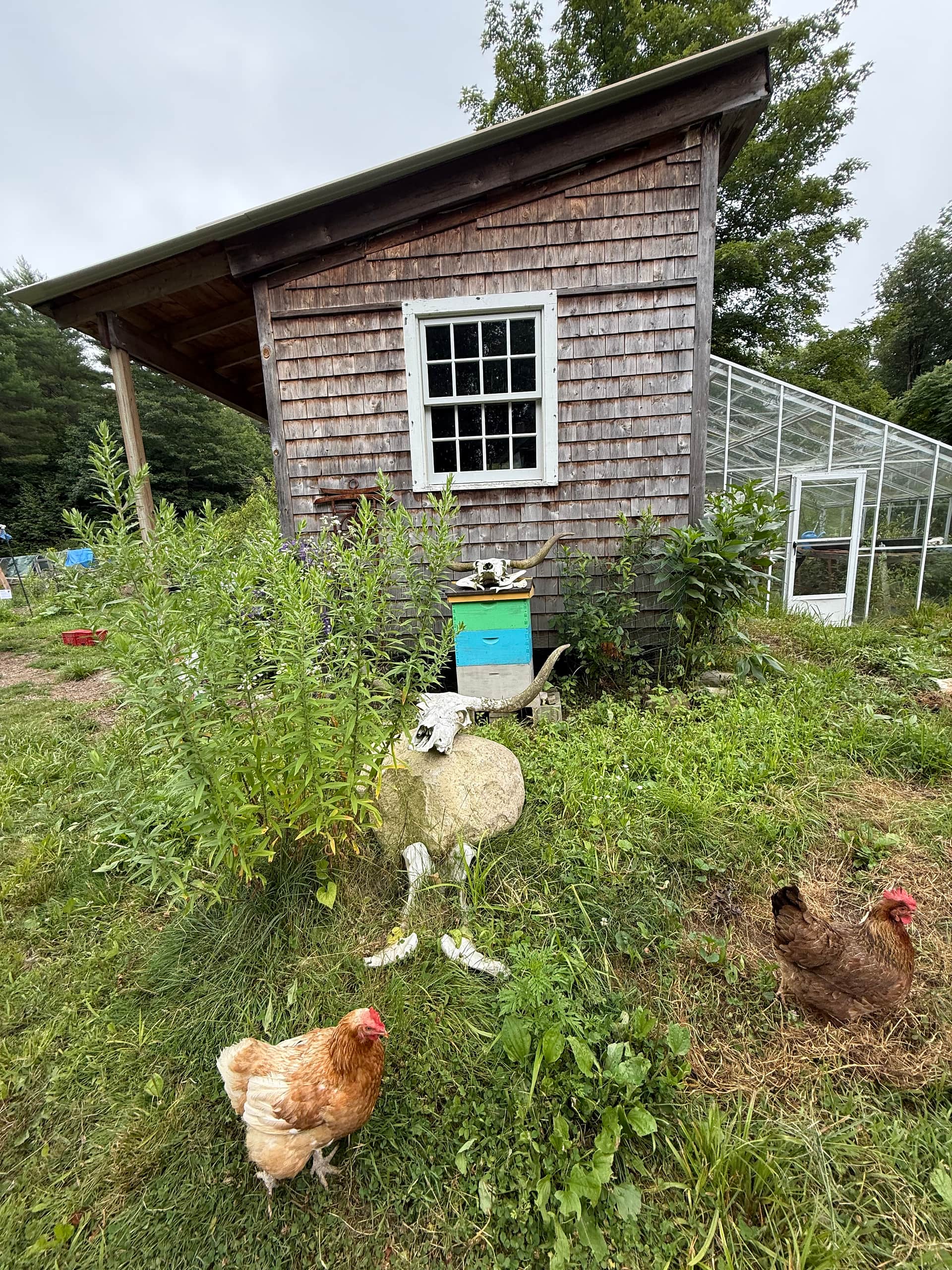 Tir na nOg Farm