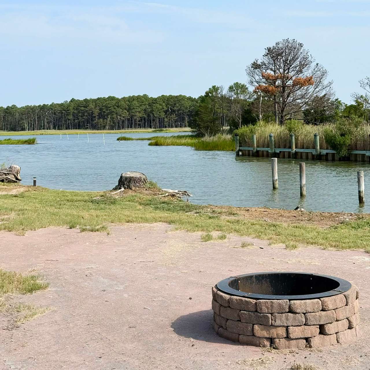 Picture of the site