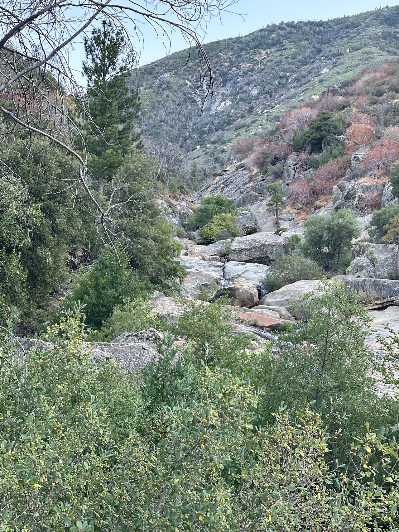 Kings Canyon Campground