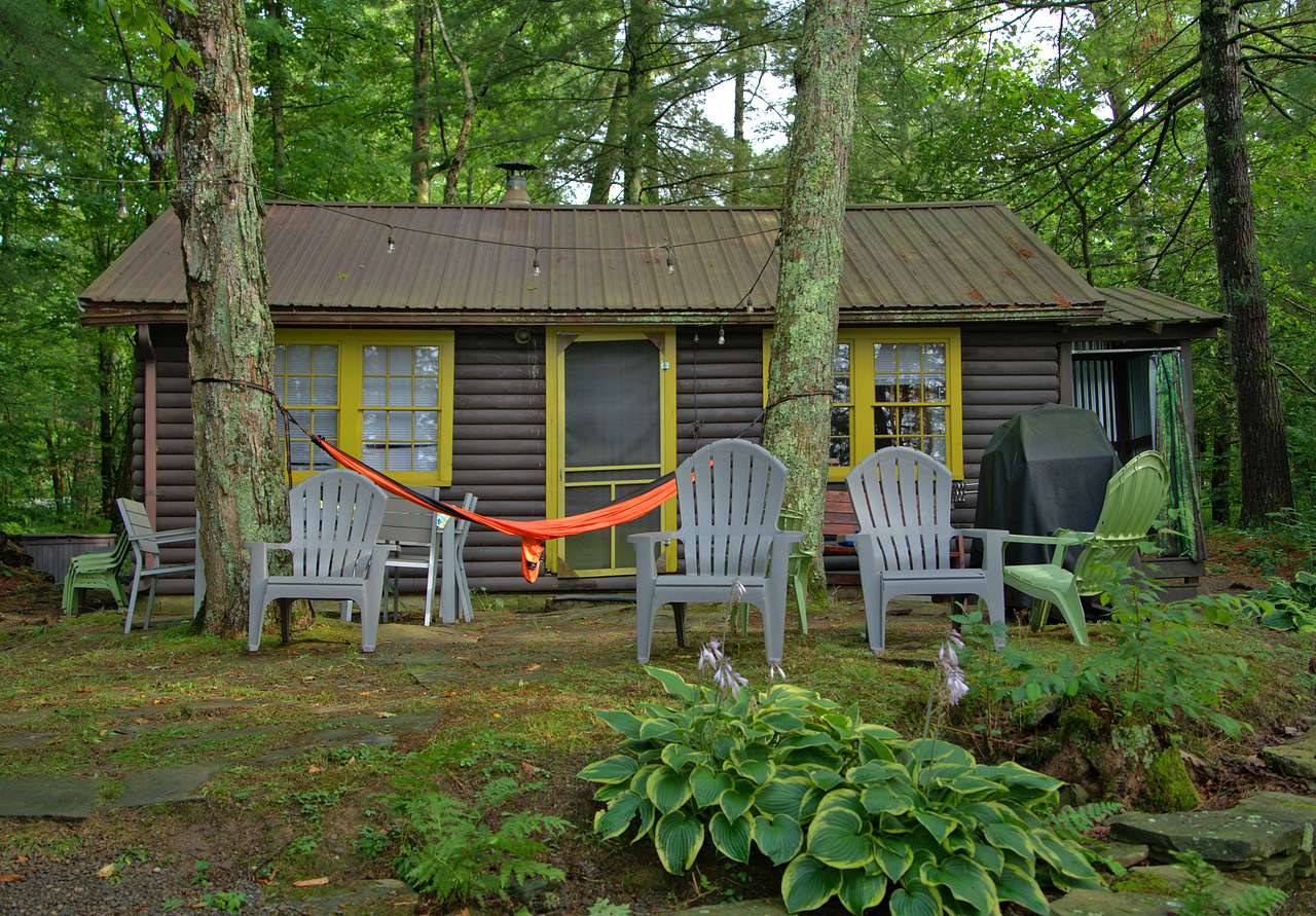 Back area