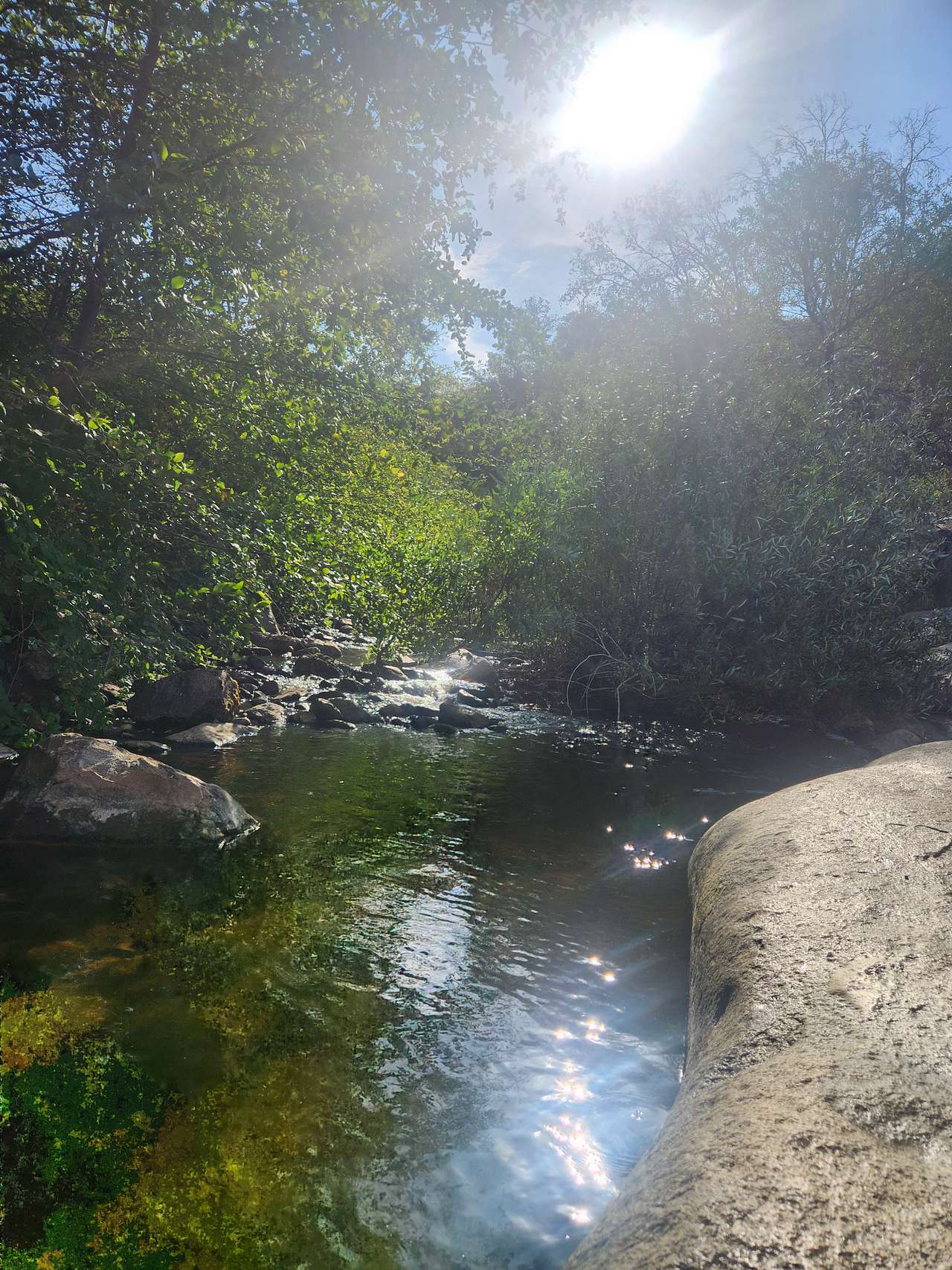 Stream behind the camp sites